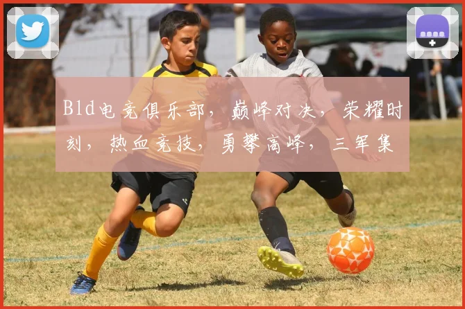 Bld电竞俱乐部，巅峰对决，荣耀时刻，热血竞技，勇攀高峰，三军集结