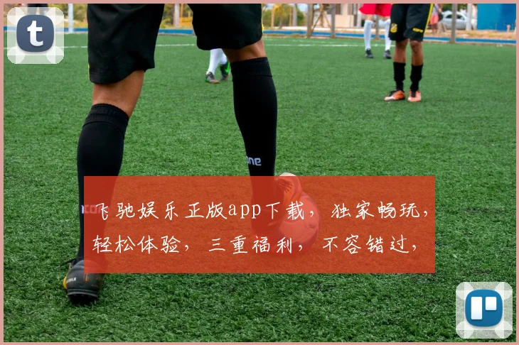 飞驰娱乐正版app下载，独家畅玩，轻松体验，三重福利，不容错过，立即下载